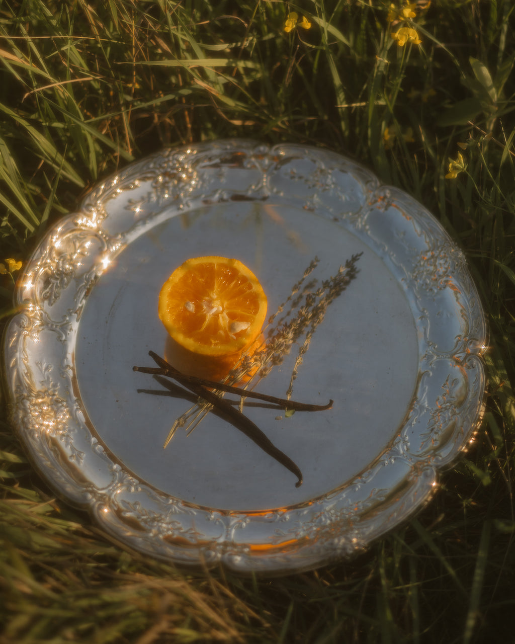 Nourish No. 1